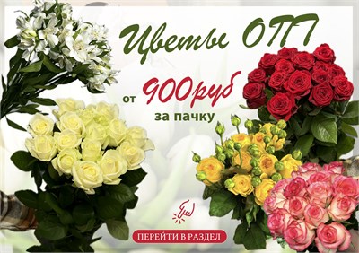 Цены действительны при покупке от 1 ПАЧКИ.