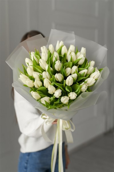 51 белый тюльпан 149341