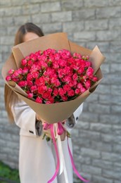 Черри хеопс роза куст 21шт 149250