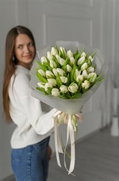 31 белый тюльпан 149340