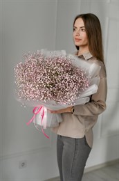 Гипсофила розовая 15шт 149338