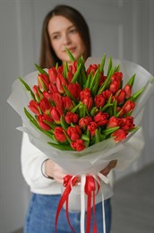 51 красный тюльпан 149357