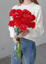 Гвоздика красная (10шт) 350