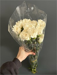Гвоздика белая (пачка 20 шт) 86514