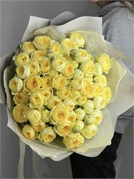Кустовые розы Еллоу Баблз в пленке (31шт) 334434333