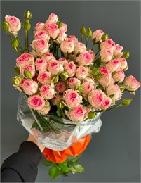 Кустовые розы Кэйт (пачка 10шт) 080808080