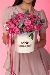 Пионовидные розы Мисти Баблз с эвкалиптом в коробке (размер S) 809