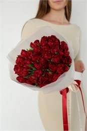 Пионовидные красные тюльпаны  (31шт) 24