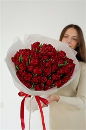 Пионовидные красные тюльпаны  (51шт) 25