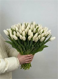 Белые тюльпаны (Пачка 50шт) 56