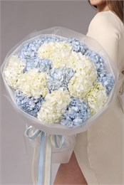 Букет из белых и голубых гортензий в красивой упаковке (15шт) 316