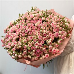 Кустовые розы Кейт в пленке (101шт) 618