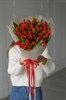 31 красный тюльпан 149356