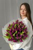 51 фиолетовый тюльпан 149344