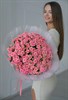 Грация Розовая куст 51 шт 803555669 - фото 634463