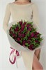 Пионовидные фиолетовые тюльпаны  (51шт) 22