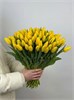 Желтые тюльпаны (Пачка 50шт) 55