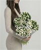Белые тюльпаны (Пачка 50шт) 56