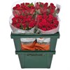 ОПТ Красные Розы (пачка 15шт) 98644455 в Туле