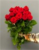 Красные розы (пачка 10шт) 45468797 в Туле