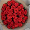 Красные розы в упаковке Туман (31шт) 642 в Туле